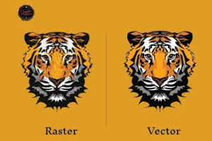 vector x1